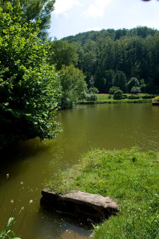 Auberge D'Imsthal La Petite-Pierre Exteriér fotografie